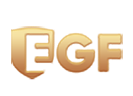 E-Gaming Federation